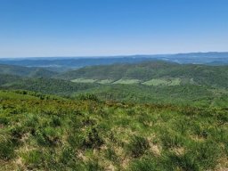 b_1024_768_0_00_images_2022_2023_SKKT_PTTK_rajd_czerwiec_352192167_220735600757342_4955715782994000684_n